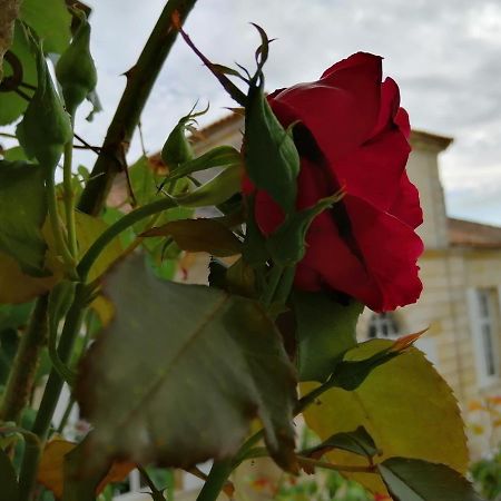 Domaine Du Chauvet Hotel Sainte-Eulalie  Kültér fotó