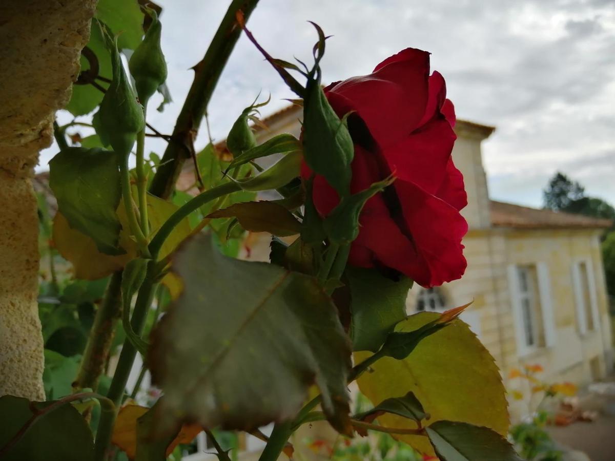 Domaine Du Chauvet Hotel Sainte-Eulalie  Kültér fotó